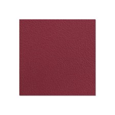 Poplar plywood plastic-coated with counterfoil bordeaux 6.8 mm - Adam Hall Hardware