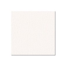 Adam Hall Birch Plywood Plastic-Coated with Stabilising Foil white 6.9 mm - 0471 G