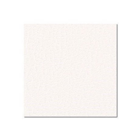 Adam Hall Birch Plywood Plastic-Coated with Stabilising Foil white 6.9 mm - 0471 G