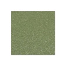 Adam Hall Birch Plywood Plastic-Coated with Stabilising Foil olive-green 6.9 mm - 04741 G