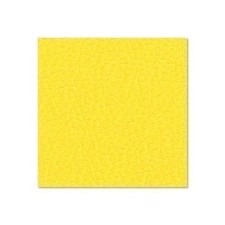 Adam Hall Birch Plywood Plastic-Coated with Stabilising Foil yellow 6.9 mm - 0479 G