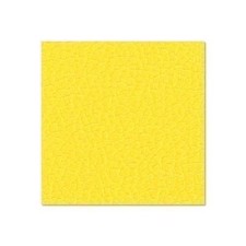 Adam Hall Birch Plywood Plastic-Coated with Stabilising Foil yellow 6.9 mm - 0479 G