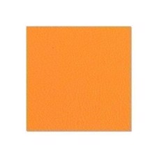 Adam Hall Birch Plywood Plastic-Coated with Stabilising Foil orange 9.4 mm - 04901 G