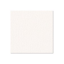 Adam Hall Birch Plywood Plastic-Coated with Stabilising Foil white 9.4 mm - 0491 G
