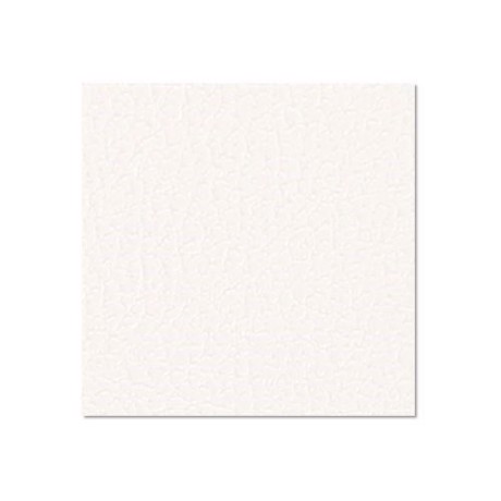 Adam Hall Birch Plywood Plastic-Coated with Stabilising Foil white 9.4 mm - 0491 G