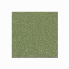 Adam Hall Birch Plywood Plastic-Coated with Stabilising Foil olive-green 9.4 mm - 04941 G