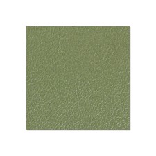 Poplar plywood plastic-coated with counterfoil olive green 6.8 mm - Adam Hall Hardware