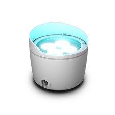Battery Powered Outdoor Uplight - Cameo