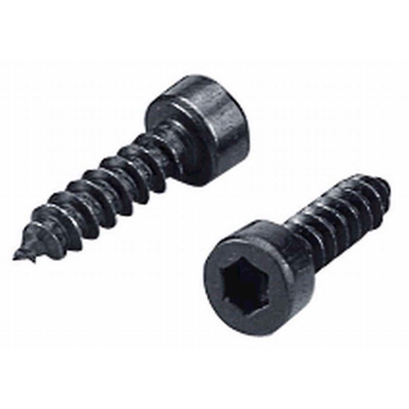 Mont.skrue 4x16mm (16) - MZF-8614 - MONACOR