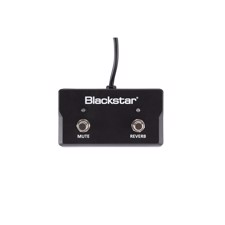 Blackstar FS - 17  -  2 button Latching Footcontroller Sonnet