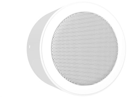 PA wall and ceiling speaker - DAR-87-10