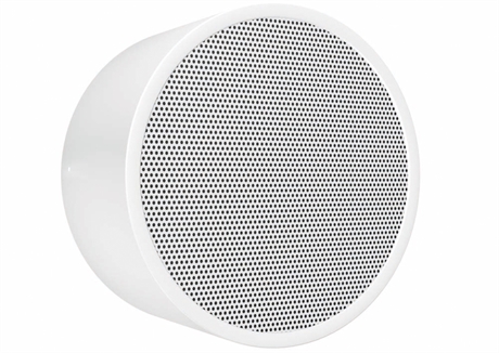 PA wall and ceiling speaker - DAR-1000