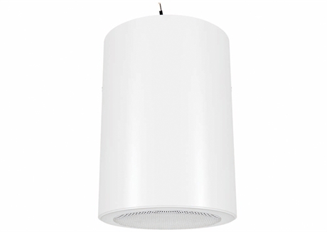 PA pendant sound projector - RL-6