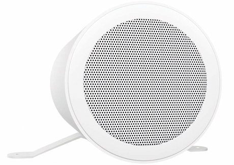 PA sound projector, dipole, - RL-8