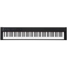 KORG D1 Digital stage piano, black