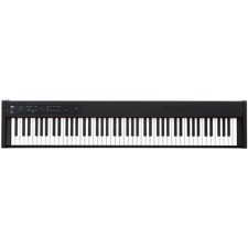 KORG D1 Digital stage piano, black - A slim digital stage piano ideal for daily practice or performing live.