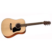 Walden D450W Acoustic Guitar